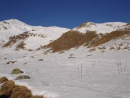 081124_A_siamo in 42.JPG